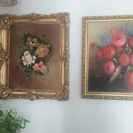 Séjour chez l'habitant Casa 1808